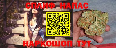 МДПВ Будённовск