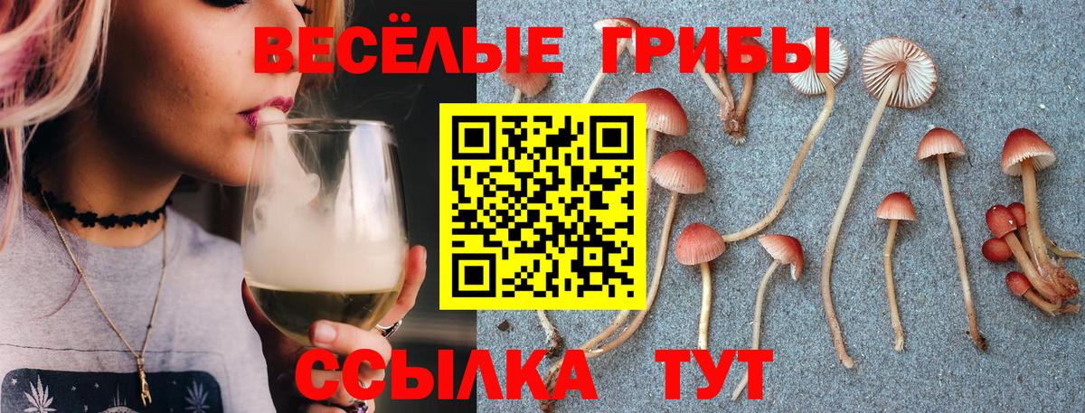 Галлюциногенные грибы мицелий  Псилоцибиновые грибы мицелий  Вход с VPN  Протвино 