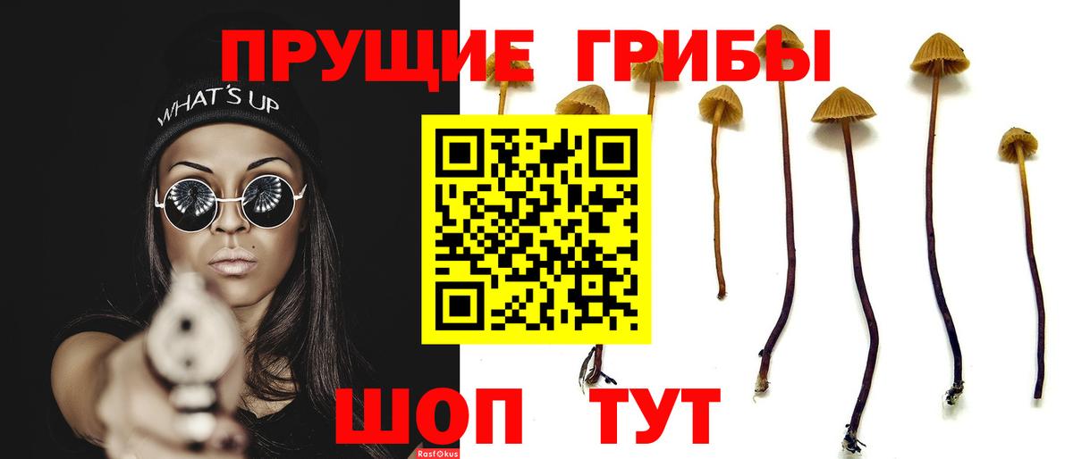 Псилоцибиновые грибы мухоморы Протвино